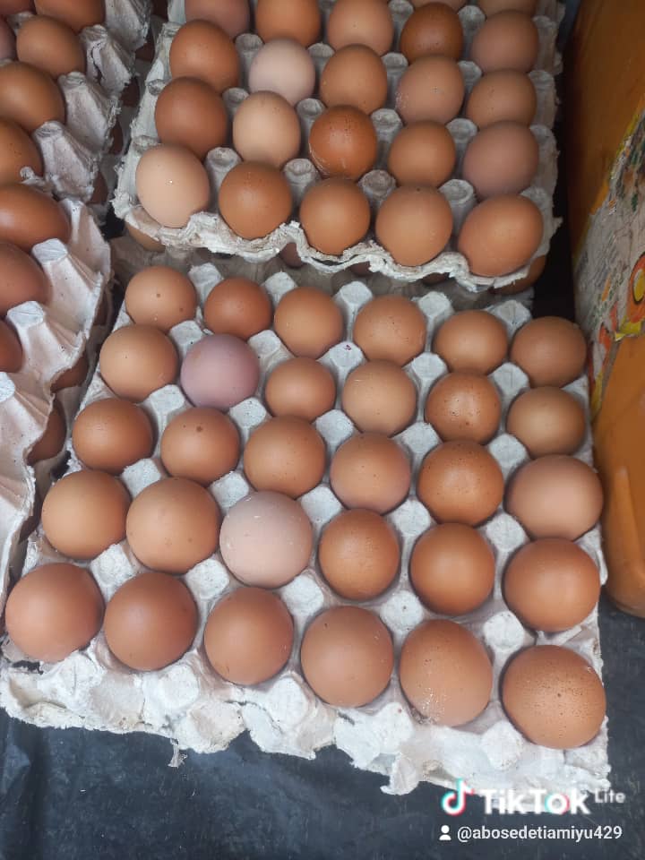 Eggs